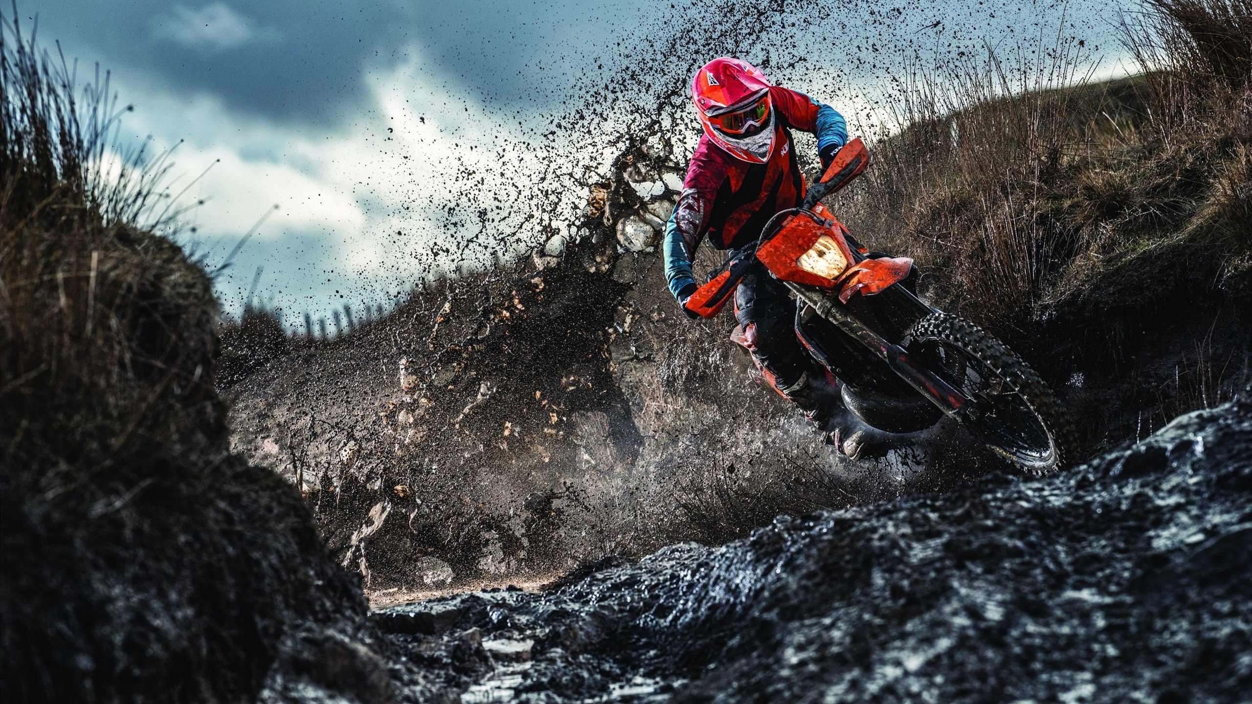 凯恩·瑞安:全黑队反击体系中的关键一环,凯恩化身泰瑞昂